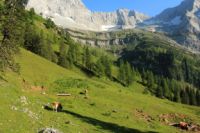 2015-07-01_2Drijaggenalm (144)b.JPG
